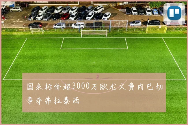 国米标价超3000万欧尤文费内巴切争夺弗拉泰西