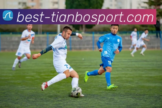 App Interface Preview